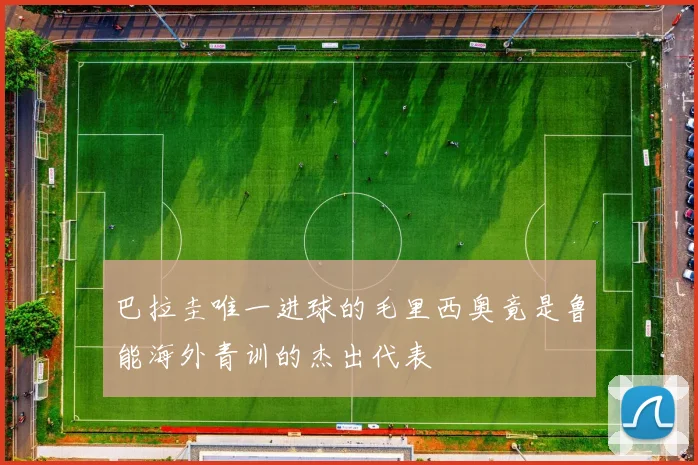 巴拉圭唯一进球的毛里西奥竟是鲁能海外青训的杰出代表