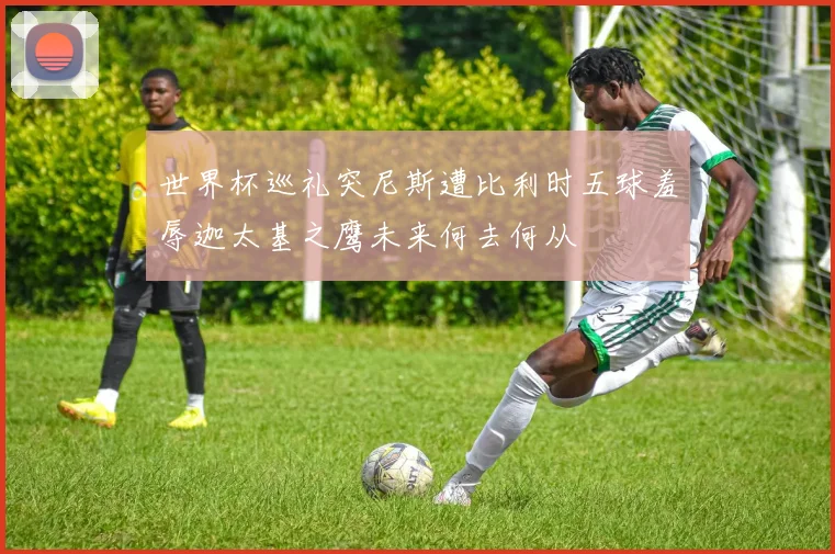 世界杯巡礼突尼斯遭比利时五球羞辱迦太基之鹰未来何去何从